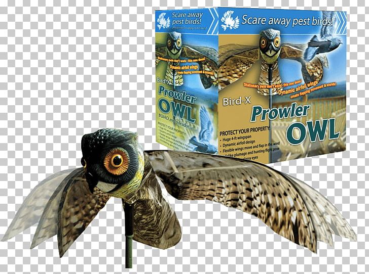 Owl Bird Scarer Decoy Bird Control PNG, Clipart, Animals, Beak, Bird, Bird Control, Bird Scarer Free PNG Download