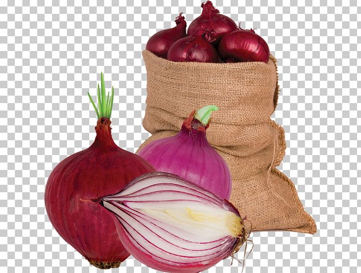 Red Onion Shallot Vegetable Food Garlic PNG, Clipart, Beet, Beetroot, Food, Food Drinks, Fruit Free PNG Download