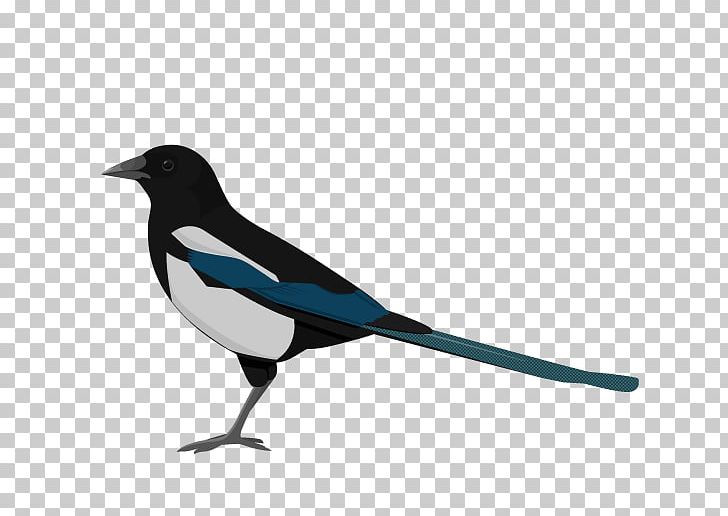 Bird The Magpie Eurasian Magpie Penguin PNG, Clipart, Animal, Animals, Beak, Bird, Cartoon Free PNG Download