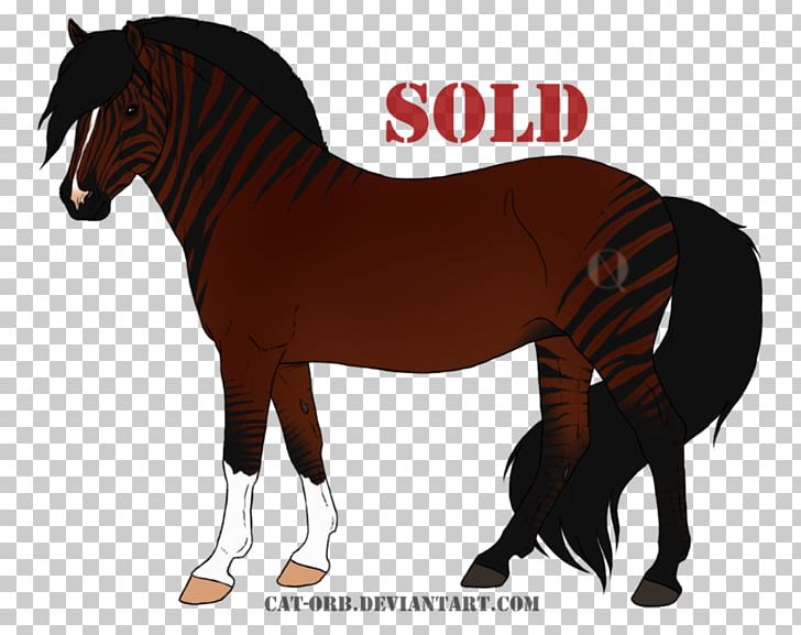 Mustang Foal Stallion Mare Rein PNG, Clipart, Bridle, Colt, Dog Harness, Foal, Halter Free PNG Download