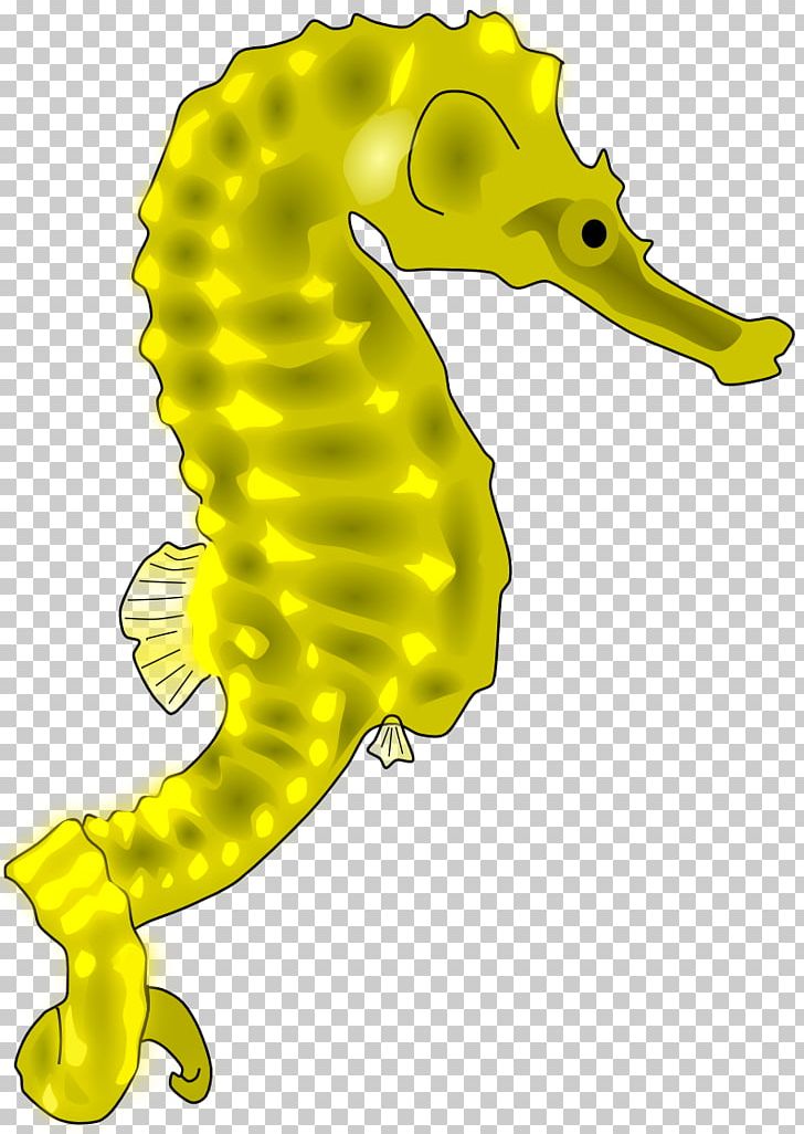 Seahorse Line Art Public Domain PNG, Clipart, Animals, Color, Drawing, Fish, Google Images Free PNG Download