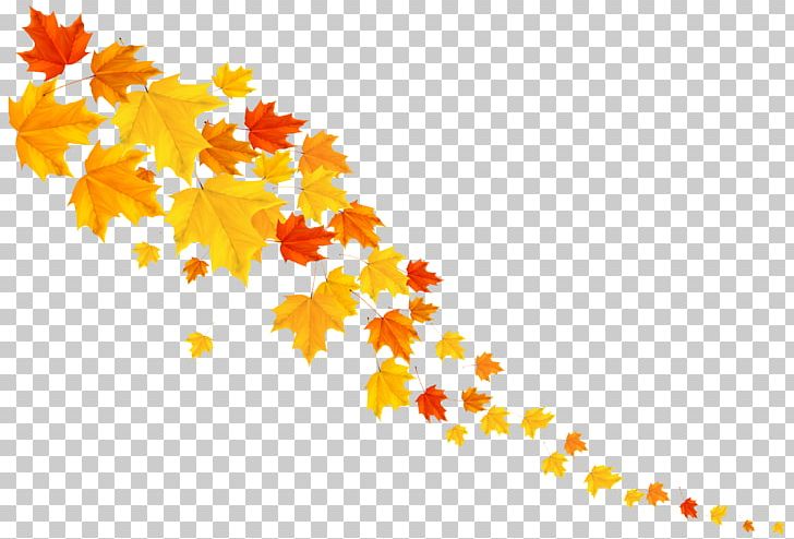 Autumn Leaf Color PNG, Clipart, Art, Autumn, Autumn Leaf Color, Branch, Decorated Mango Leafs Free PNG Download