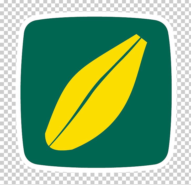 Barley Tradisco Seeds Kft. Fruit PNG, Clipart, Barley, Barley Flour, Fruit, Green, Leaf Free PNG Download