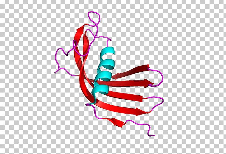 Cystatin C Cysteine Protease Ornithodoros PNG, Clipart, Area, Artwork, Cystatin, Cystatin C, Cysteine Free PNG Download