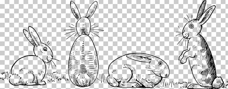 Domestic Rabbit Hare Drawing Sketch PNG, Clipart, Artwork, Black And White, Domestic Rabbit, Drawing, Hare Free PNG Download