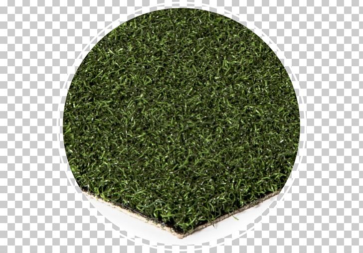 Artificial Turf Golf Course Turf Sod Lawn Sport PNG, Clipart, Aonori, Artificial Turf, Athletics Field, Bermuda, Golf Free PNG Download