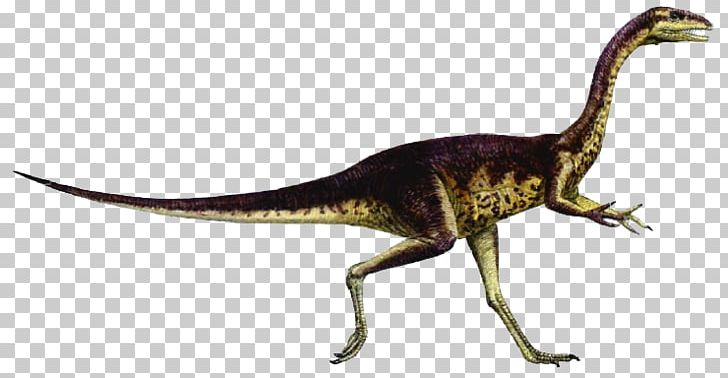 Carnivores: Dinosaur Hunter Elaphrosaurus Dinosaur Size Spinosaurus Giganotosaurus PNG, Clipart, Animal Figure, Carnivore, Carnivores, Carnivores Dinosaur Hunter, Condorraptor Free PNG Download