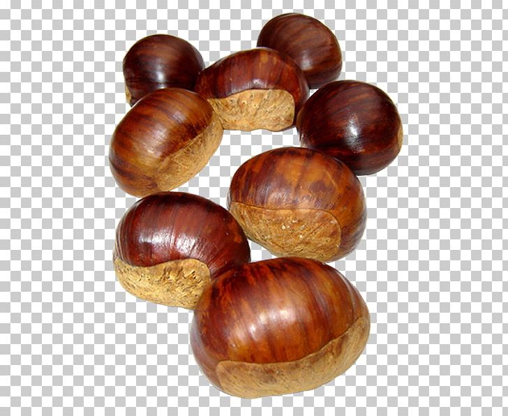 Sweet Chestnut Auglis Food PNG, Clipart, Auglis, Autumn, Chestnut, Chestnuts, Computer Icons Free PNG Download