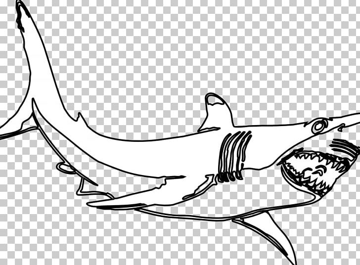 Great White Shark Drawing PNG, Clipart, Animals, Area, Arm, Artwork, Bird Free PNG Download