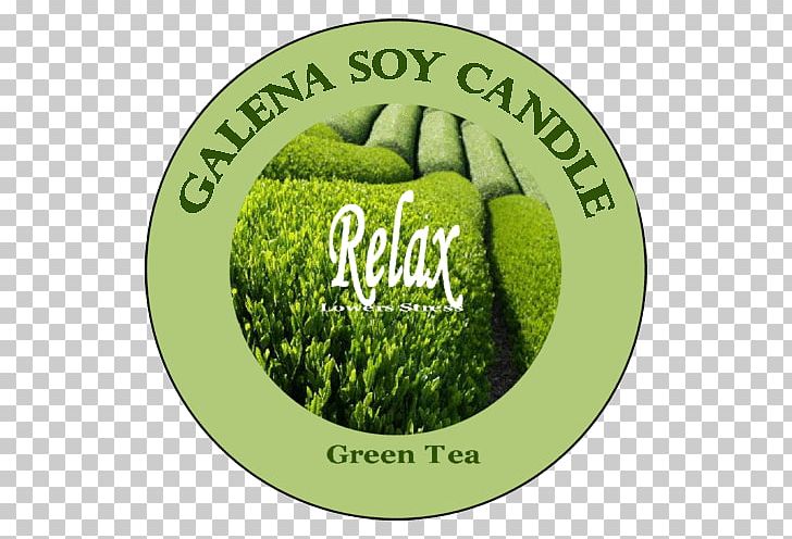 Green Tea Candle Logo PNG, Clipart, Brand, Candle, Cranberry, Food Drinks, Grass Free PNG Download