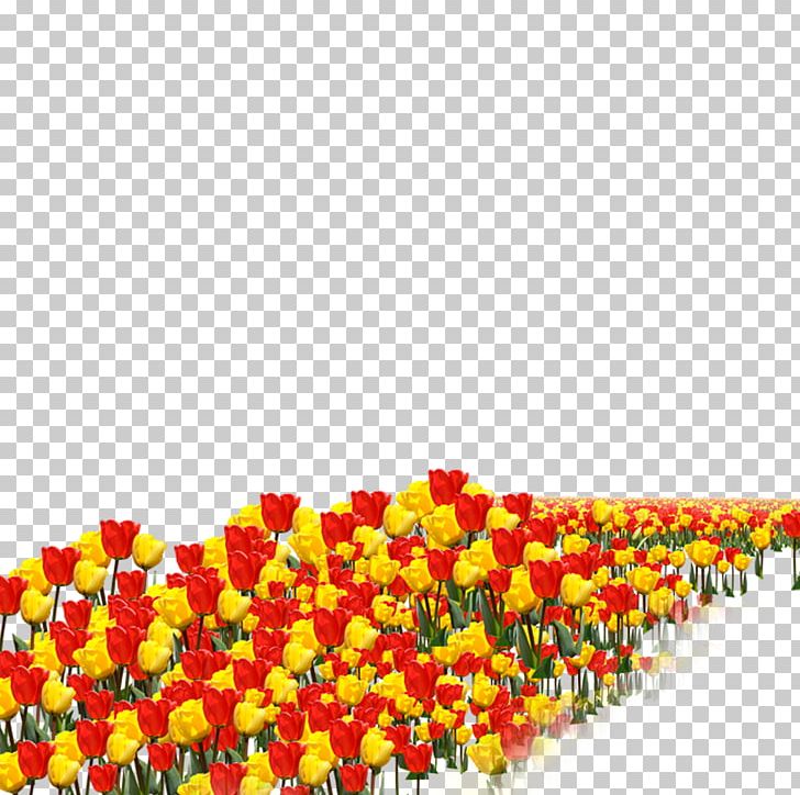 Tulip Flower PNG, Clipart, Adobe Illustrator, Download, Euclidean Vector, Flower, Flower Bouquet Free PNG Download