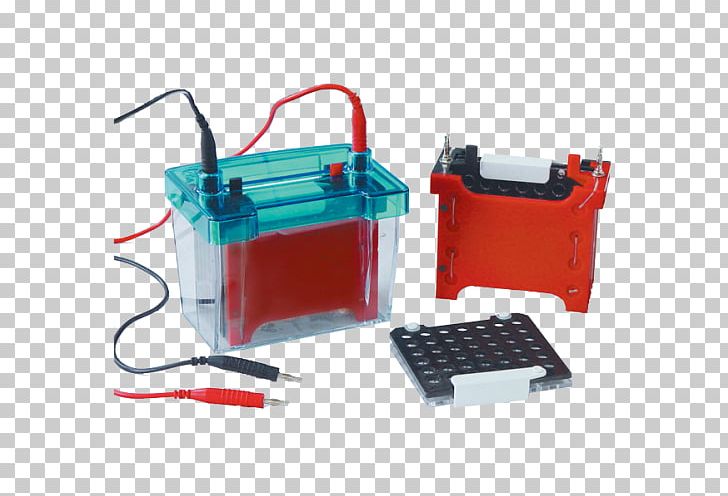 Western Blot Gel Electrophoresis Science PNG, Clipart, Baths, Biology, Blot, Buffer Solution, Cell Free PNG Download