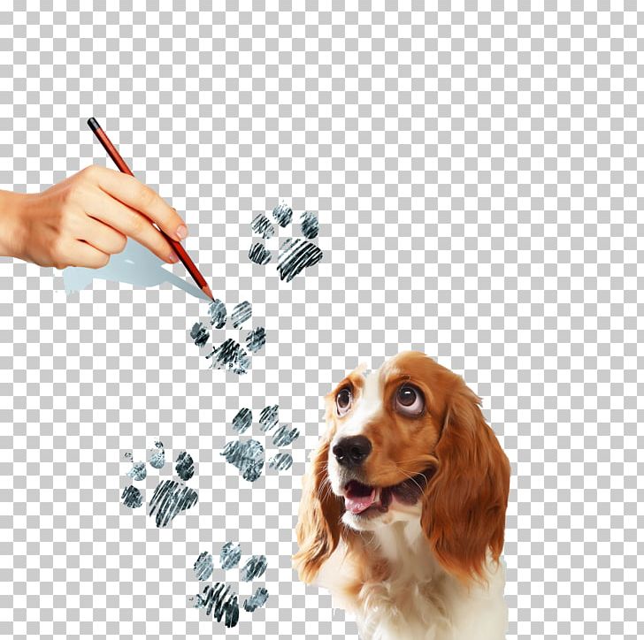 Beagle Puppy Spaniel Paw Illustration PNG, Clipart, Animals, Application, Apply, Color, Companion Dog Free PNG Download