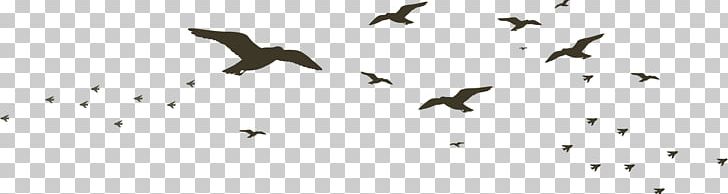 Beak Black And White Technology Pattern PNG, Clipart, Angle, Animal, Beak, Bird, Bird Goose Free PNG Download
