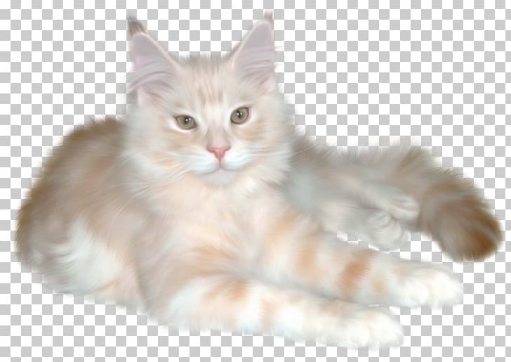 Persian Cat Kitten Ragdoll PNG, Clipart, Animals, Asian Semi Longhair, Black Cat, British Semi Longhair, Carnivoran Free PNG Download
