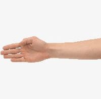 Arm PNG, Clipart, Arm, Arm Clipart, Body, Hand, People Free PNG Download