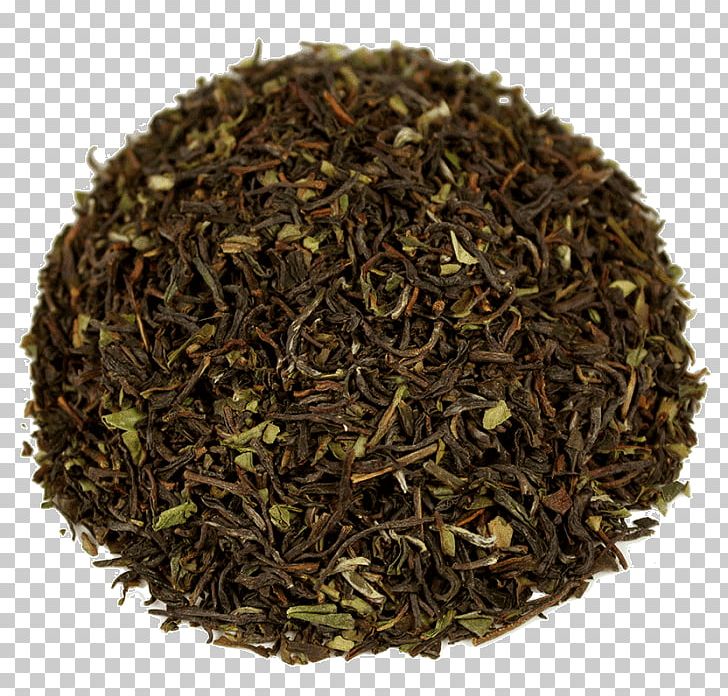 Darjeeling Tea Oolong White Tea Matcha PNG, Clipart, Assam Tea, Bai Mudan, Bancha, Bilu, Green Tea Free PNG Download