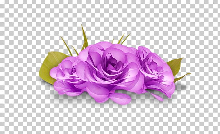 Garden Roses Desktop PNG, Clipart, Artificial Flower, Beach Rose, Cicek, Cicek Resimleri, Cut Flowers Free PNG Download