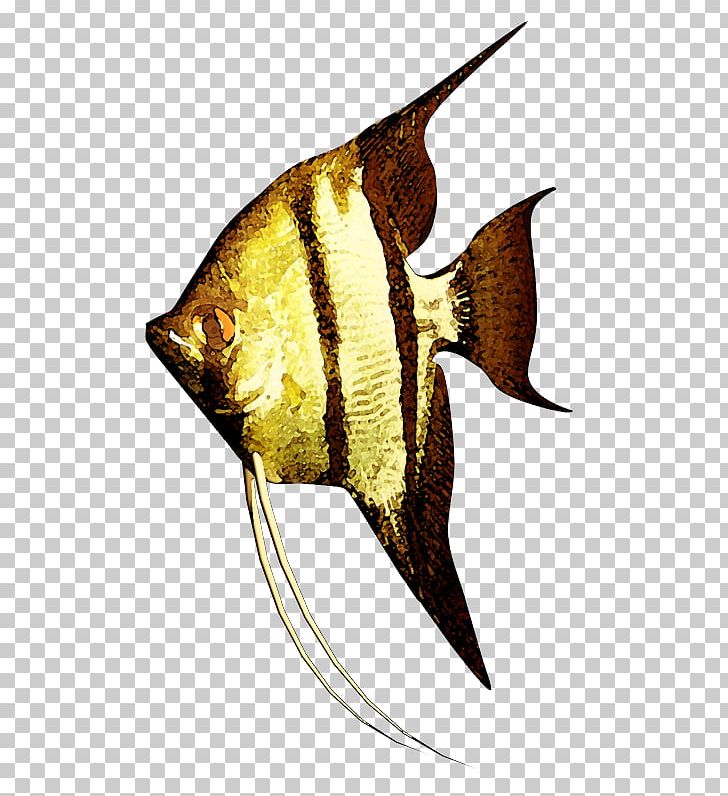 Goldfish PNG, Clipart, Animals, Download, Encapsulated Postscript, Fin, Fish Free PNG Download
