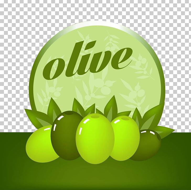 Olive Drawing Photography Illustration PNG, Clipart, Black Olive, Brand, Computer Wallpaper, Drawing, English Free PNG Download