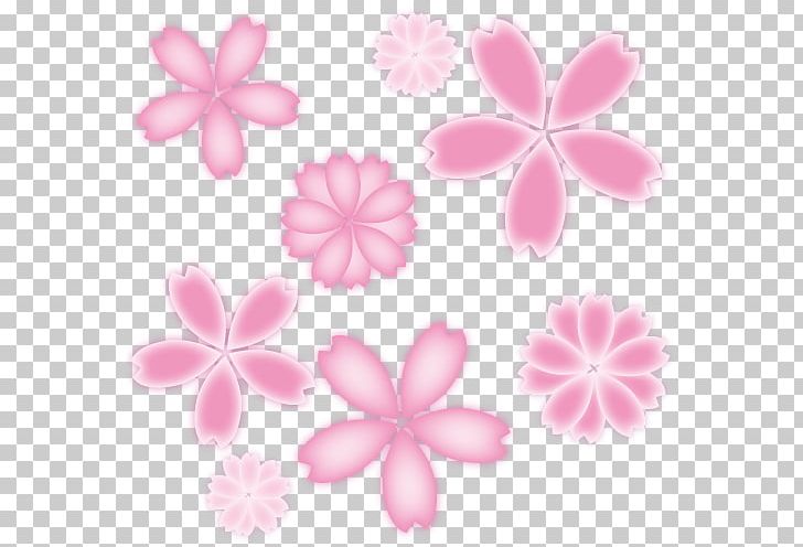Spring Sakura Flower Illustration. PNG, Clipart, Flower, Others, Peach, Petal, Pink Free PNG Download