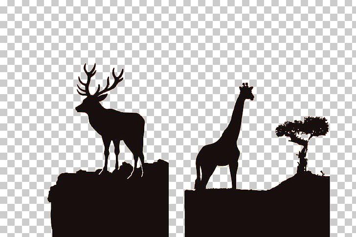 Africa Reindeer Silhouette Wildlife PNG, Clipart, Africa, African Wildlife, Animal, Antler, Black And White Free PNG Download