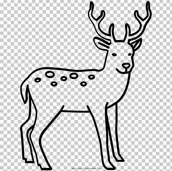 Reindeer Elk Red Deer Coloring Book PNG, Clipart, Animal, Animal Figure, Antler, Ausmalbild, Black And White Free PNG Download