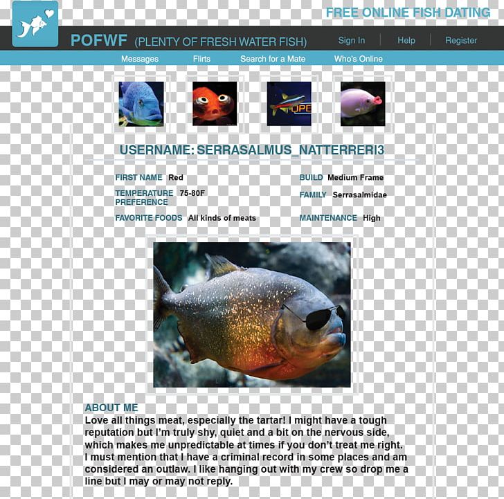 Ecosystem Web Page Fauna Marine Biology Red-bellied Piranha PNG, Clipart, Biology, Ecosystem, Fauna, Fish, Fish Dish Free PNG Download