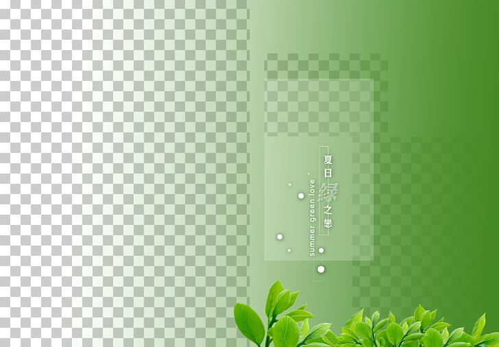 Green Pattern PNG, Clipart, Album, Angle, Computer, Computer Wallpaper, Grass Free PNG Download