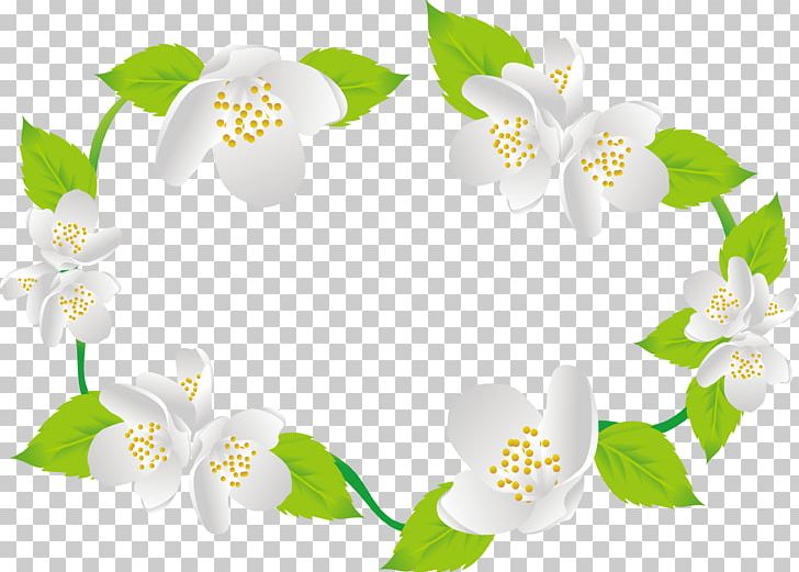 Arabian Jasmine Flower Euclidean PNG, Clipart, Arabian Jasmine, Circle, Decorative Patterns, Design, Euclidean Free PNG Download