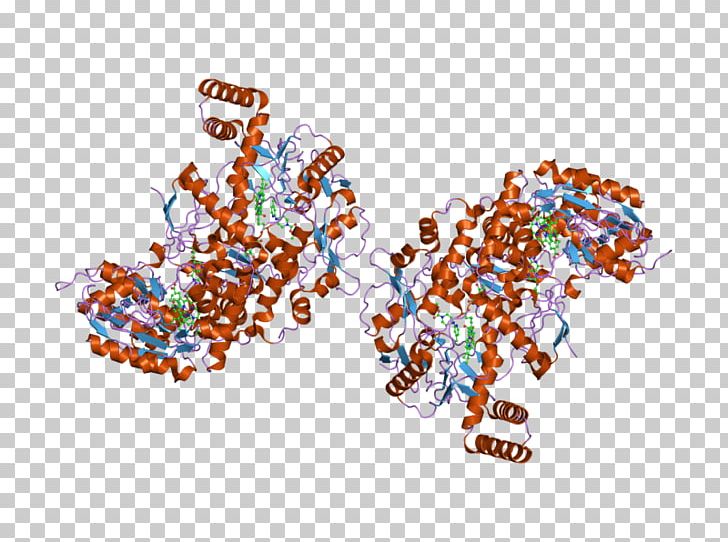 Glycogen Phosphorylase Glycogenolysis Enzyme Structural Classification Of Proteins Database PNG, Clipart, Area, Art, Body Jewelry, Brand, Catalysis Free PNG Download