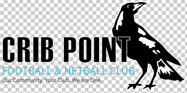 Crib Point Football Team Netball Australian Rules Football Association PNG, Clipart, Advertising, Association, Australia, Australian Rules Football, Beak Free PNG Download