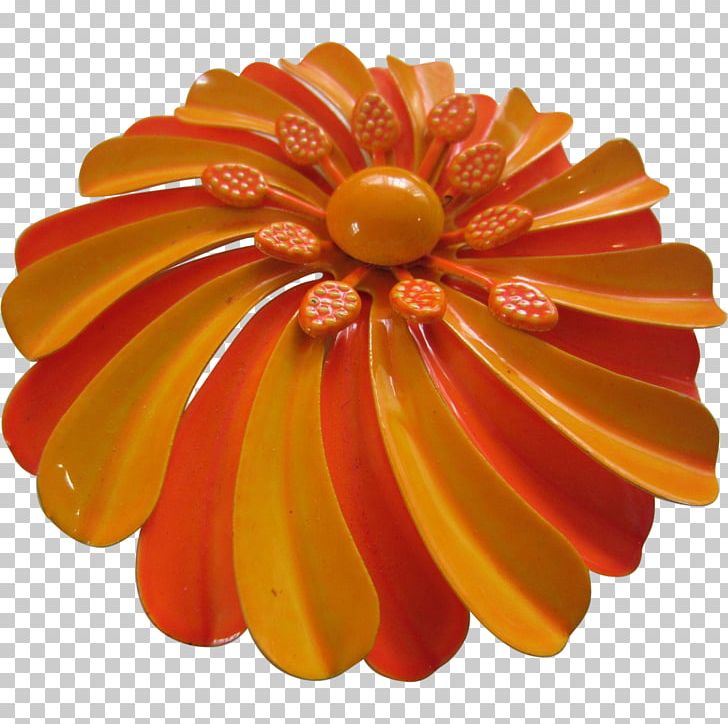 Cut Flowers Transvaal Daisy Daisy Family Petal PNG, Clipart, Common Daisy, Cut Flowers, Daisy Family, Flower, Gerbera Free PNG Download