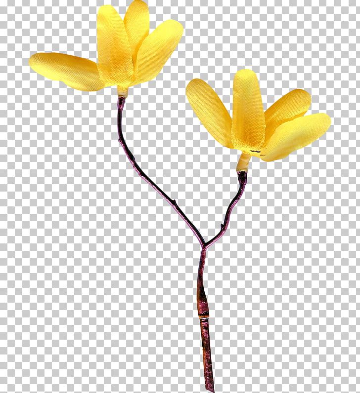 Delicate Painting Cut Flowers Moca Cream PNG, Clipart, Albom, Birthday, Branch, Cut Flowers, Daytime Free PNG Download
