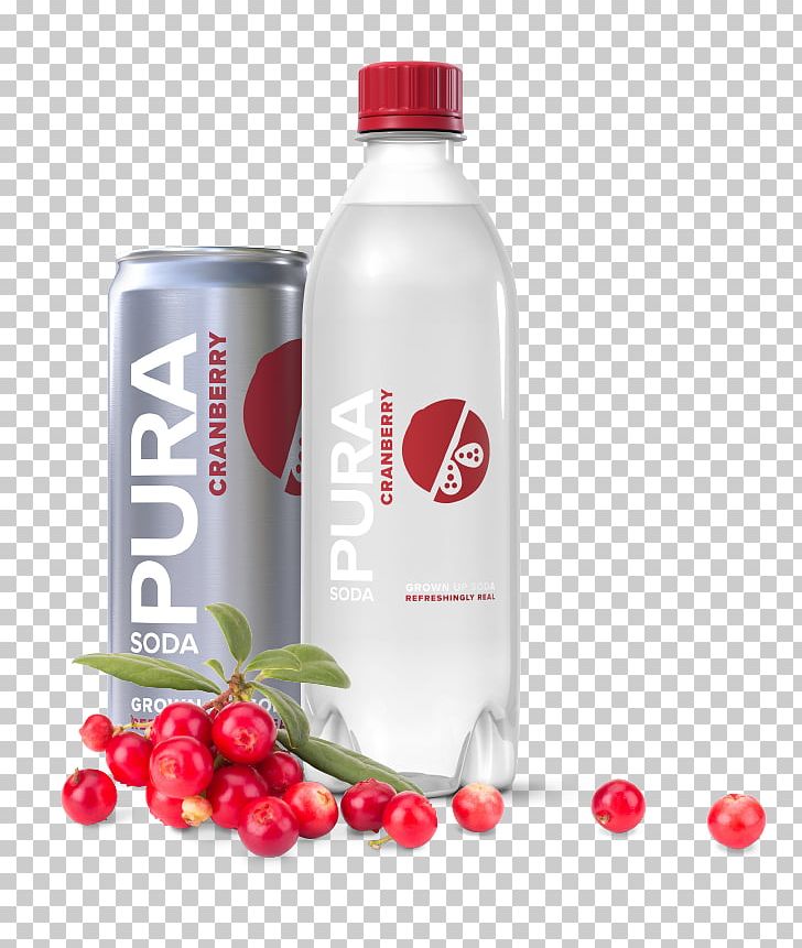 Fizzy Drinks Plastic Bottle Juice Liquid PNG, Clipart, Bottle, Cherry, Color, Fizzy Drinks, Flavor Free PNG Download