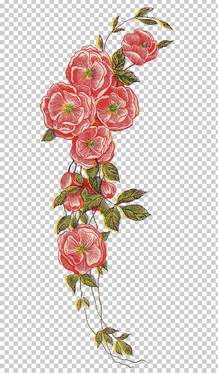 Flower Floral Design PNG, Clipart, Art, Cut Flowers, Drawing, Encapsulated Postscript, Flora Free PNG Download