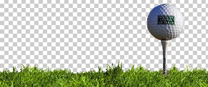 Golf Balls Pitch And Putt Golf Tees Wood PNG, Clipart, Ball, Ball Game, Energy, Football, Golf Free PNG Download