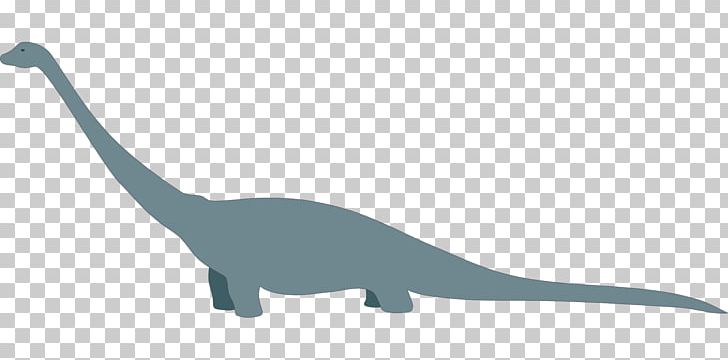 Dinosaur Tyrannosaurus Long Tail Diplodocus PNG, Clipart, Ancient, Color, Description, Dinosaur, Diplodocus Free PNG Download