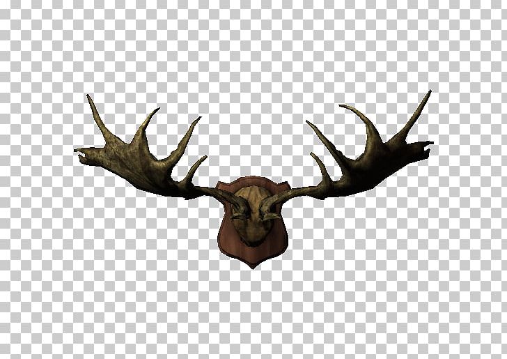 Elk Moose Trophy Hunting Horn PNG, Clipart, Antler, Construction, Deer, Elk, Horn Free PNG Download