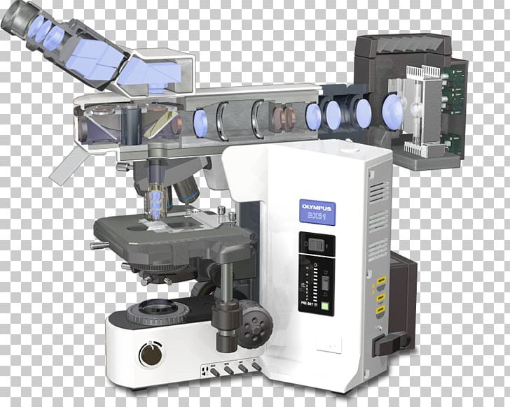 Fluorescence Microscope Principles Of Fluorescence Spectroscopy Confocal Microscopy PNG, Clipart, Confocal Microscopy, Fluorescence, Fluorescence Microscope, Fluorescence Spectroscopy, Hardware Free PNG Download