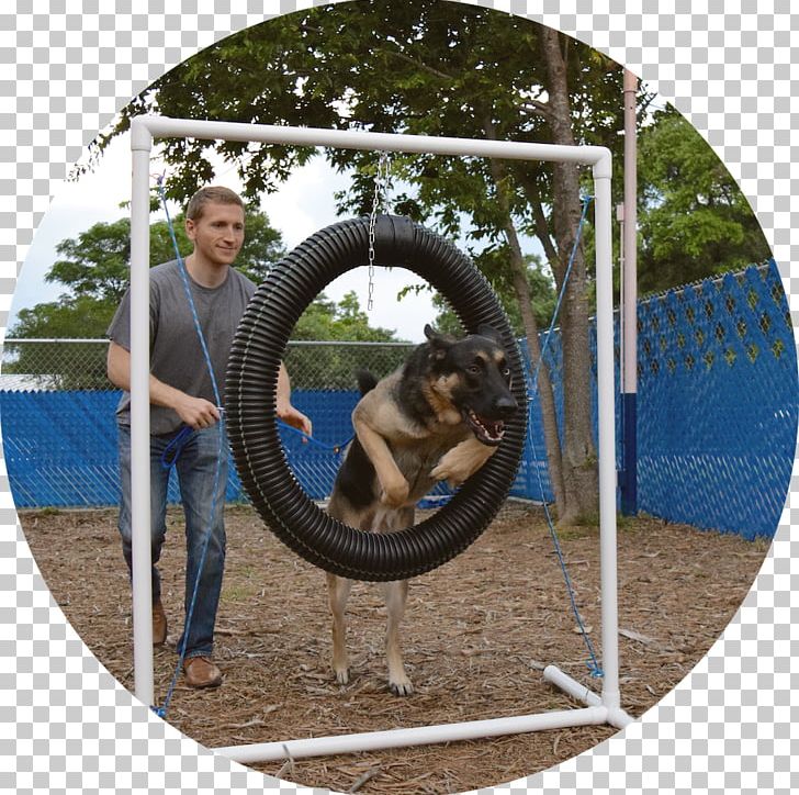 Swing Wheel Google Play PNG, Clipart, Dog Agility, Google Play, Others, Outdoor Play Equipment, Outdoor Structure Free PNG Download