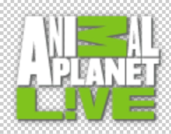 Animal Planet Live Discovery Channel Discovery PNG, Clipart, Angle, Animal, Animal Planet, Animal Planet Hd, Animal Planet Live Free PNG Download
