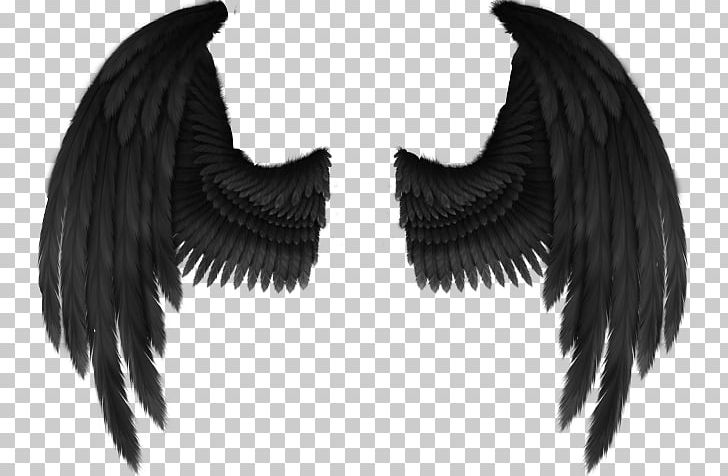Cherub Angel Wing Fantasy PNG, Clipart, Angel, Archangel, Black And White, Fallen Angel, Feather Free PNG Download