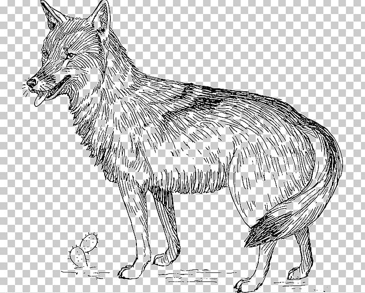 Coyote PNG, Clipart, Art, Artwork, Black And White, Carnivoran, Cartoon Free PNG Download