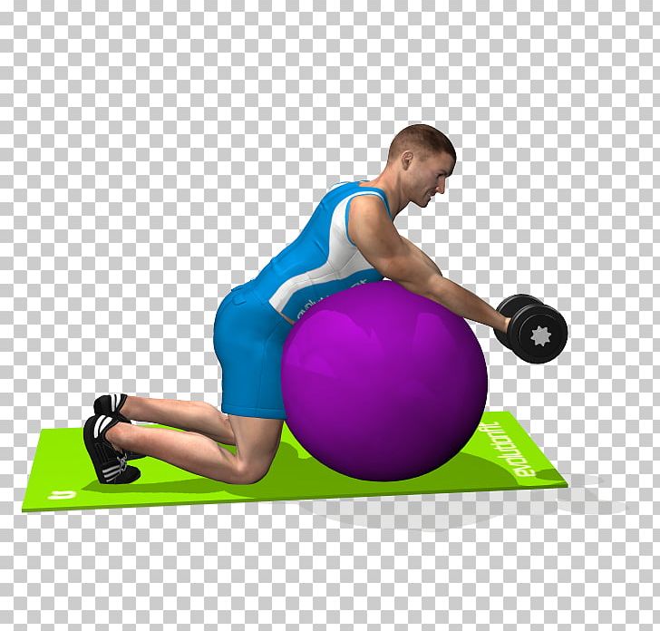 Exercise Balls Pilates Medicine Balls Shoulder PNG, Clipart, Abdomen, Arm, Balance, Ball, Biceps Curl Free PNG Download