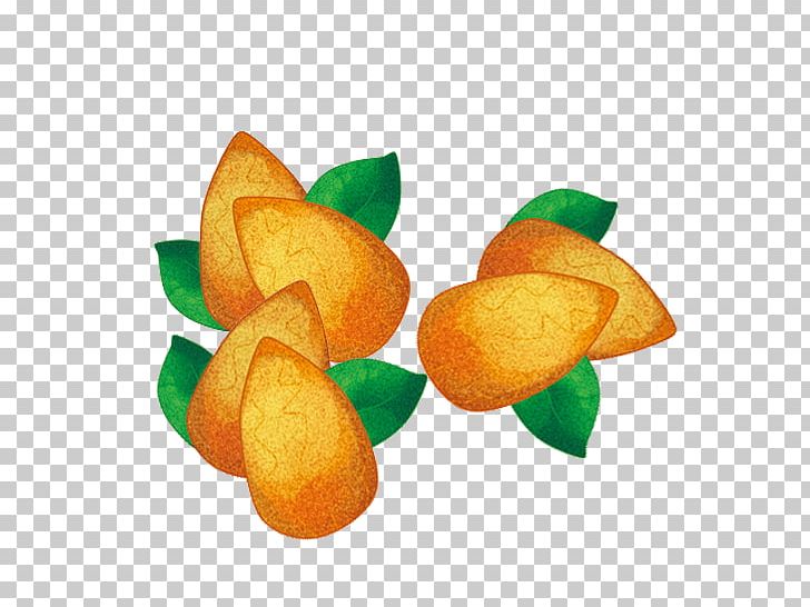 Almond Apricot Kernel Nut PNG, Clipart, Almond, Almonds, Apricot, Apricot Kernel, Download Free PNG Download
