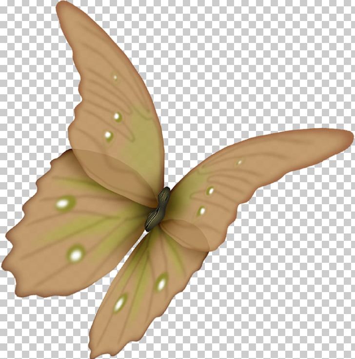 Butterfly Flower Paper PNG, Clipart, Bombycidae, Butterflies And Moths, Butterfly, Cut Flowers, Desktop Wallpaper Free PNG Download
