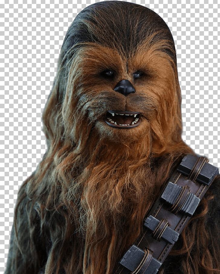 Chewbacca Stormtrooper R2-D2 Action & Toy Figures Hot Toys Limited PNG, Clipart, 16 Scale Modeling, Action Toy Figures, Chewbacca, Fantasy, Force Free PNG Download