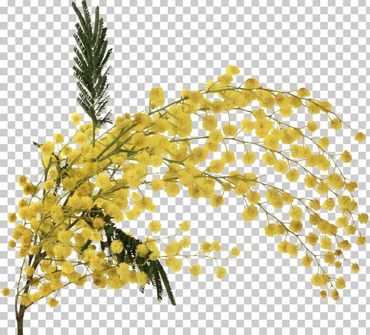 Flower PNG, Clipart, Branch, Commodity, Computer Icons, Computer Software, Download Free PNG Download