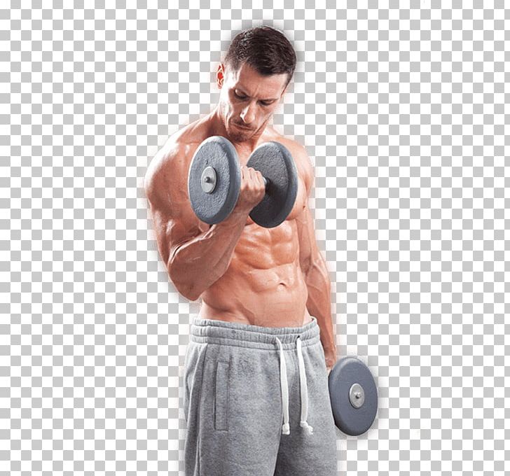 Dietary Supplement Muscle Bodybuilding Supplement Physical Strength Strength Training PNG, Clipart, Abdomen, Adipose Tissue, Arm, Barbell, Biceps Curl Free PNG Download